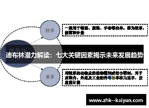 迪布林潜力解读：七大关键因素揭示未来发展趋势