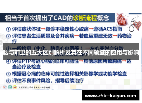 腰与前卫的五大区别解析及其在不同领域的应用与影响