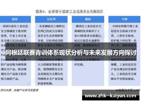 阿根廷联赛青训体系现状分析与未来发展方向探讨